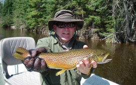 Dry Fly Do's - Brown Trout