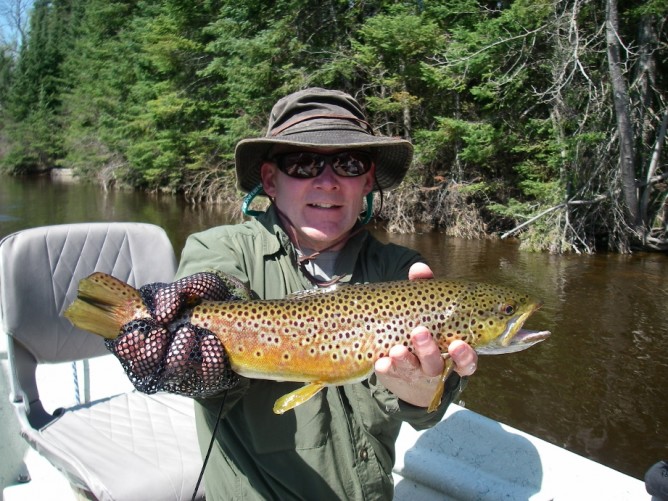 Dry Fly Do's - Brown Trout