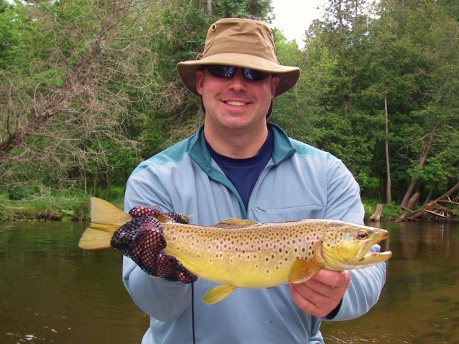 Tilt Shoot Iso Isonychia Brown Trout