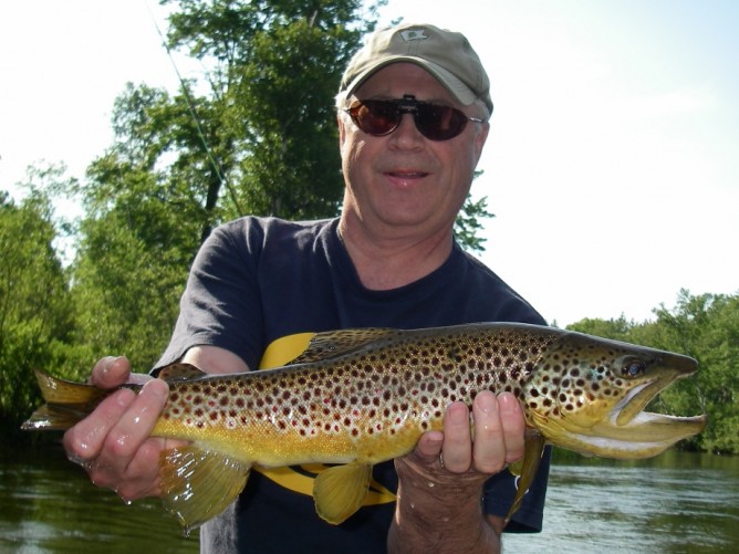 Autumn Offender - Brown Trout