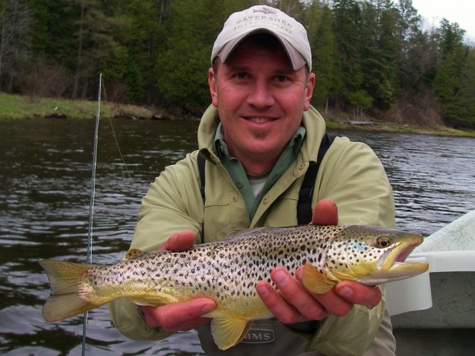 Borchers Emerger - Brown Trout