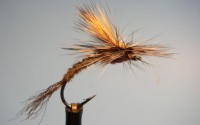 Borchers Emerger Pattern