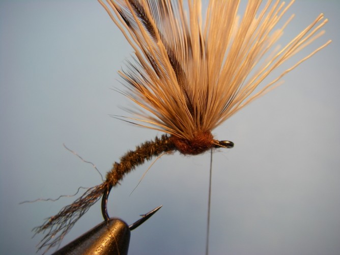 Borchers Emerger Step - 10