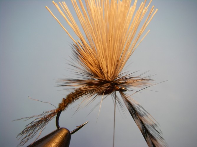 Borchers Emerger Step - 11