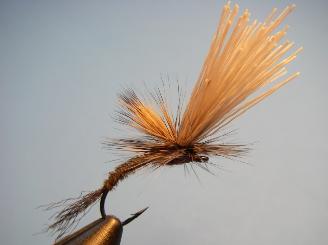 Borchers Emerger Fly Pattern and How to Tie