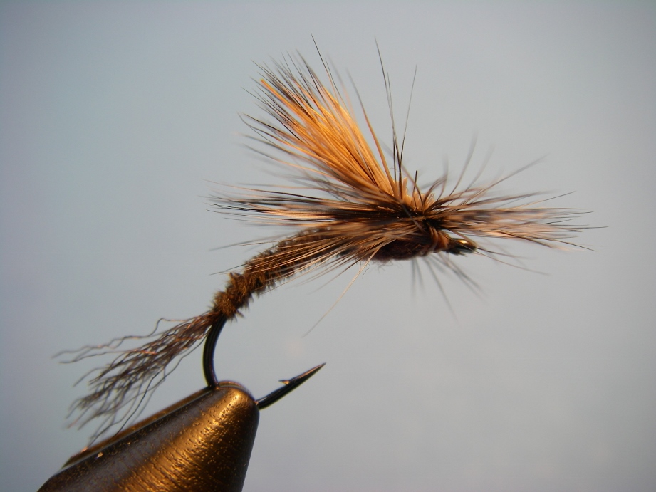 Borchers Emerger Fly Pattern and How to Tie