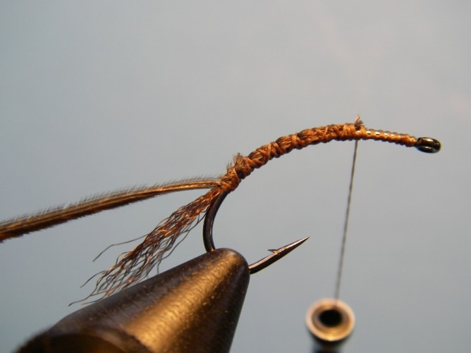Borchers Emerger Fly Pattern and How to Tie