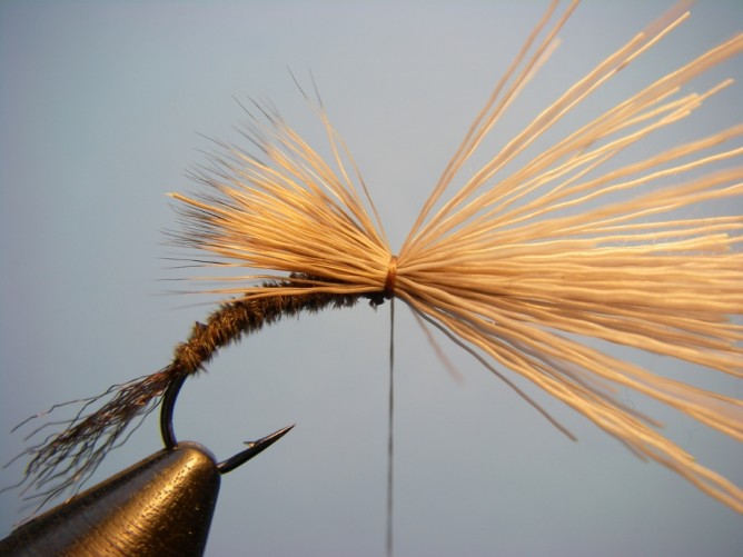 Borchers Emerger Fly Pattern and How to Tie