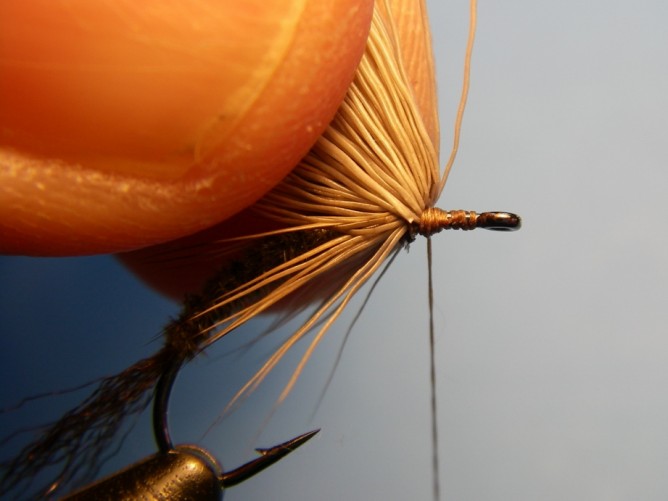 Borchers Emerger Step - 7