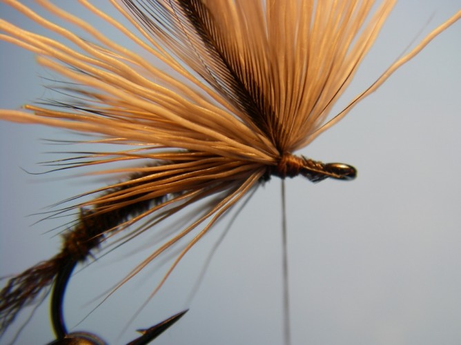 Borchers Emerger Step - 9