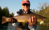 May Fly Fishing - Streamer Fishing Michigan