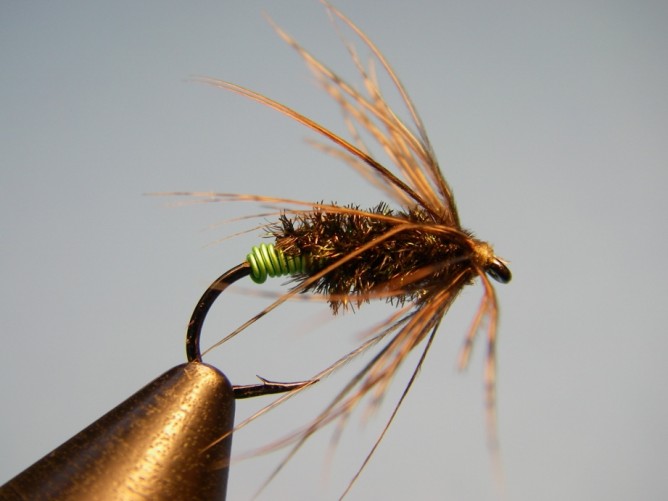 Green Butt Soft Hackle Diving Caddis