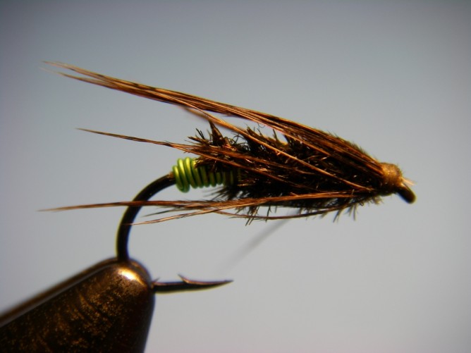 Green Butt Soft Hackle - Diving Caddis Pattern - Wet