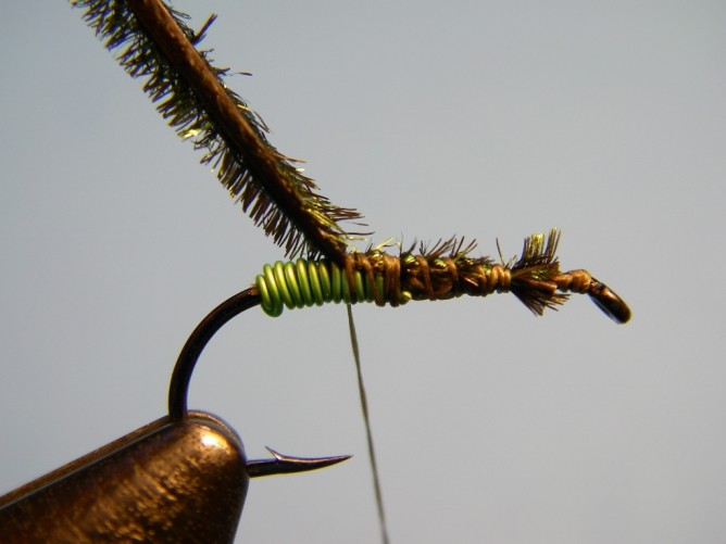 Green Butt Soft Hackle - Step 4