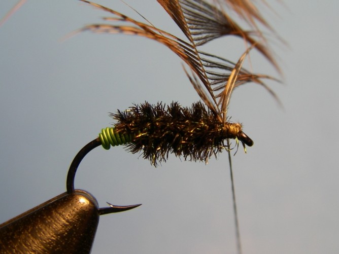 Green Butt Soft Hackle - Step 6