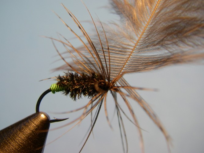 Green Butt Soft Hackle - Step 6.5