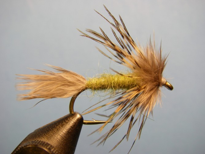 Sparrow Fly Pattern - Olive