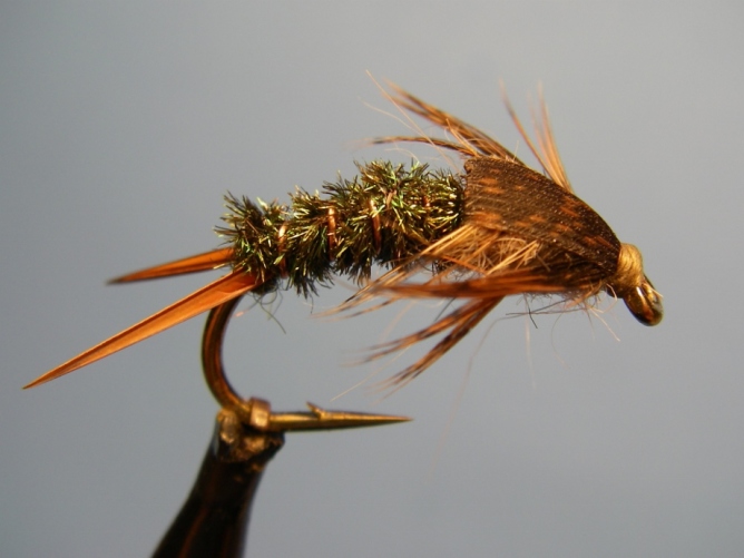 Twenty Pounder Stonefly Nymph Pattern