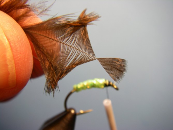 Green Caddis - Diamond Braid - Step 4a