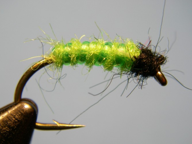 Green Caddis - Dubbed- Optional No Collar