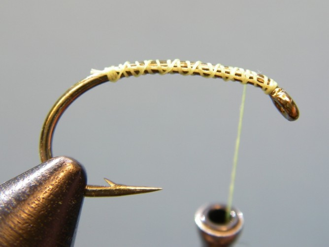 Green Caddis - Dubbed - Step 1