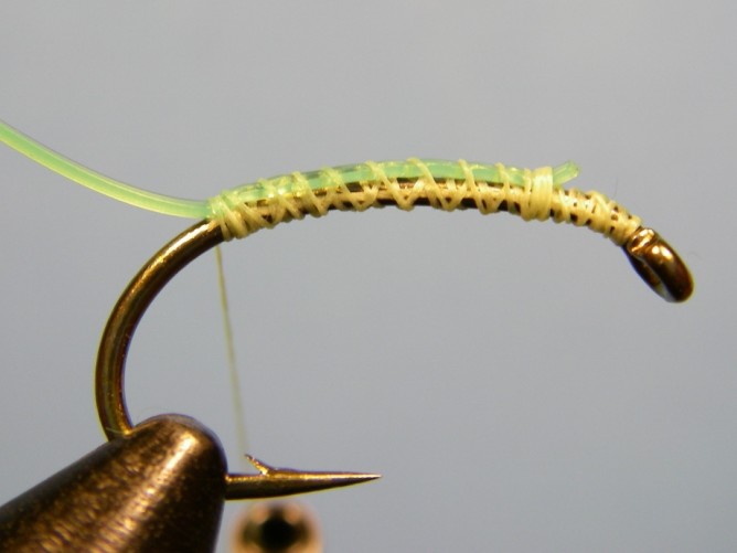 Green Caddis - Dubbed - Step 2