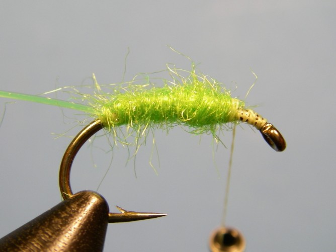 Green Caddis - Dubbed - Step 3b