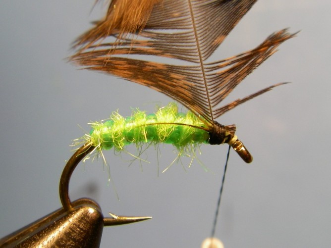 Green Caddis - Dubbed - Step 5