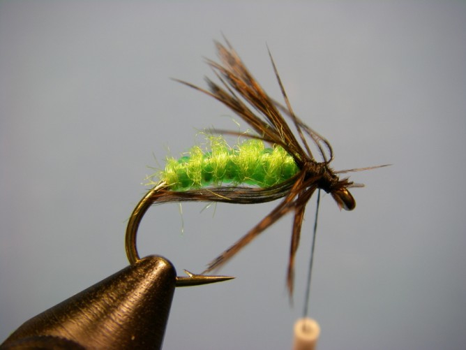 Green Caddis - Dubbed - Step 6