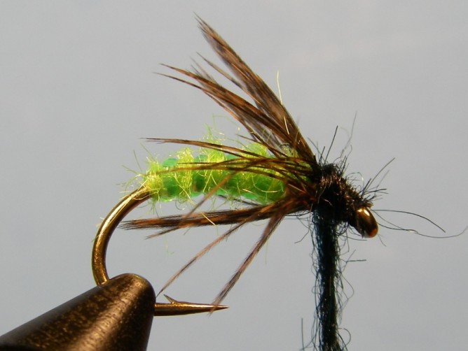 Green Caddis - Dubbed - Step 7