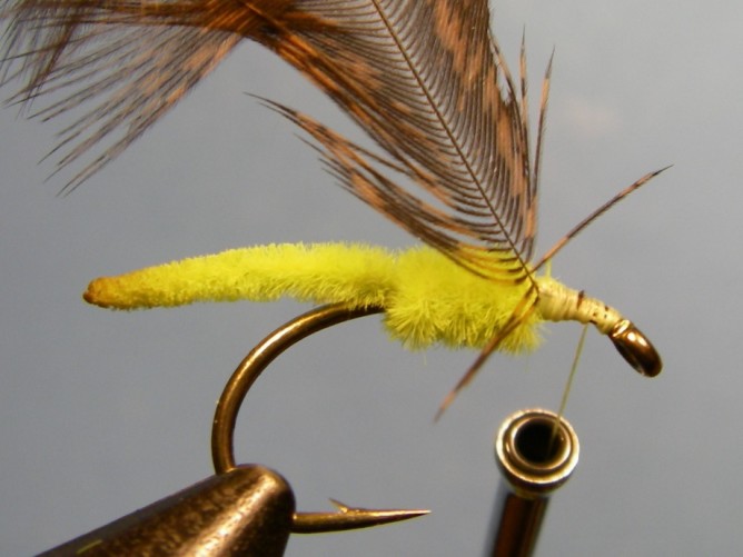 Green Caddis - Viagra - Step 5