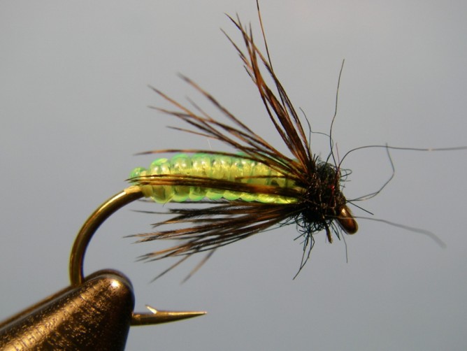 Green Caddis - Vinyl Rib