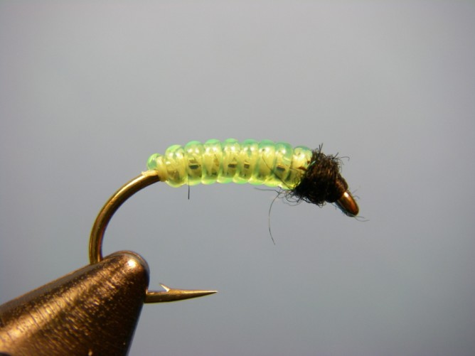 Green Caddis - Vinyl Rib - Optional No Collar