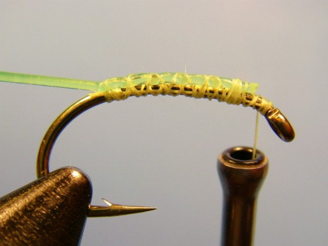 Green Caddis - Vinyl Rib - Step 2