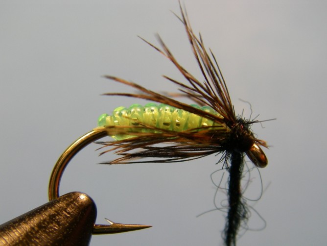 Green Caddis - Vinyl Rib - Step 6