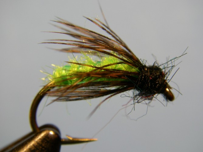 Steelhead Green Caddis - Dubbed