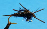 Sparkle Stonefly