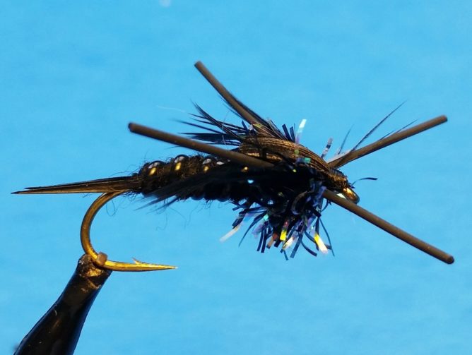 Sparkle Stonefly