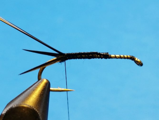 Sparkle Stonefly - Step 4