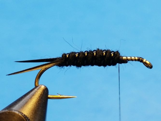 Sparkle Stonefly - Step 6