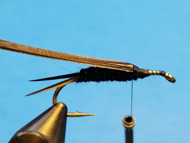 Sparkle Stonefly - Step 7