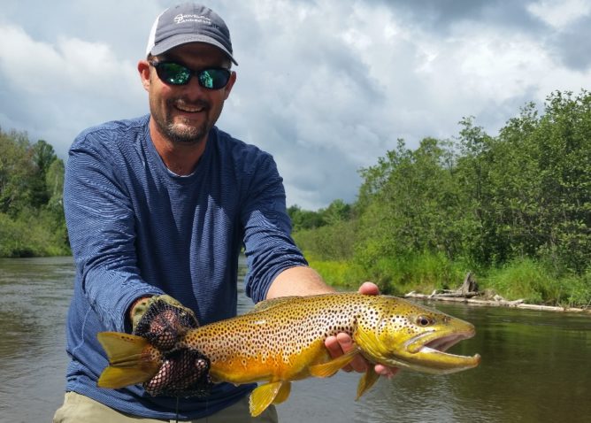 Twitch Flies - Brown Trout II