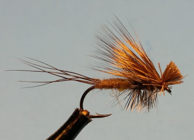 Hendrickson Hairwing Dun Step 10