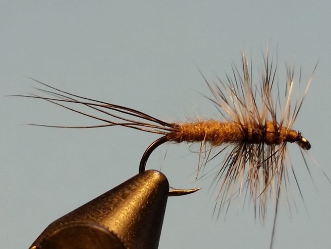 Hendrickson Hairwing Dun Step 7