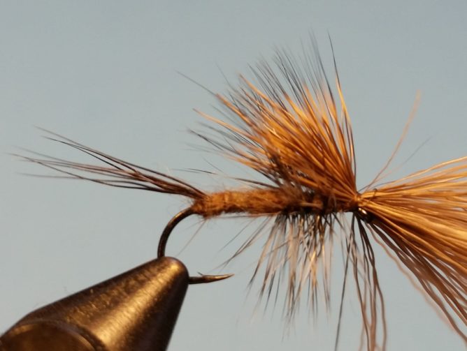 Hendrickson Hairwing Dun Step 8