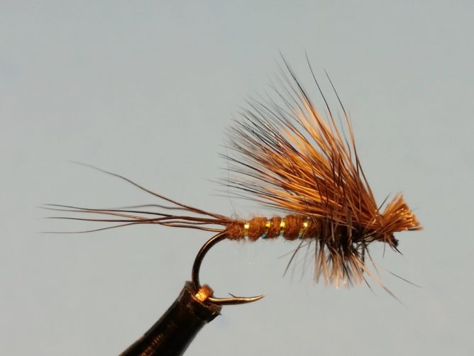 Hendrickson Hairwing Dun With Rib