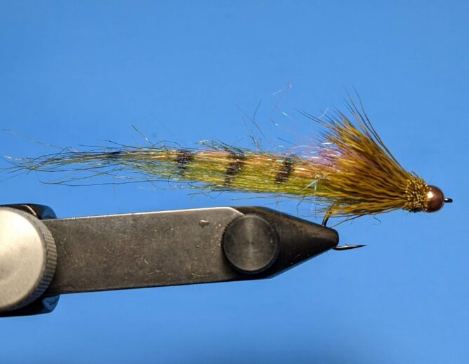 Back Half Baitfish - Olive with trigger