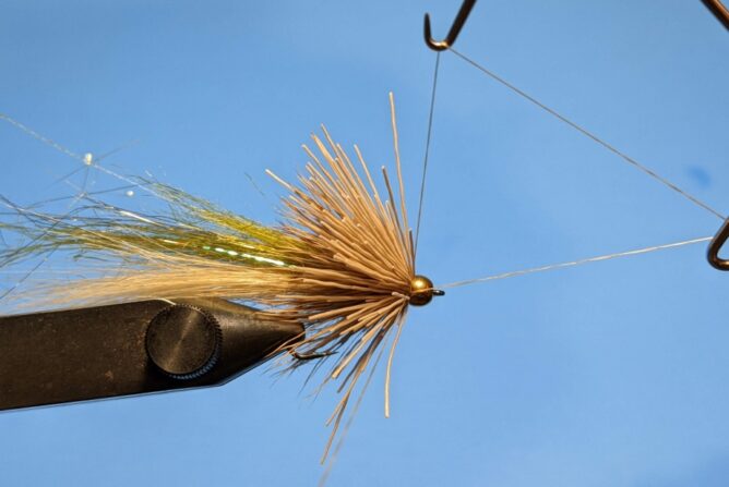 Back Half Baitfish - Step 12