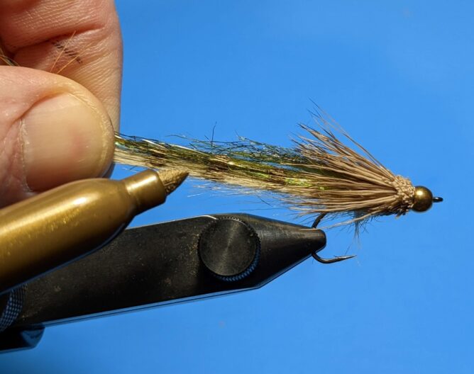 Back Half Baitfish - Step 15