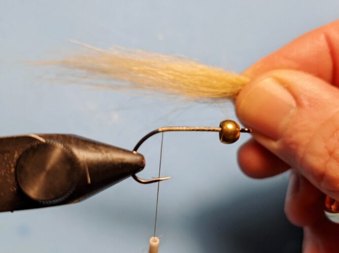 Back Half Baitfish - Step 2